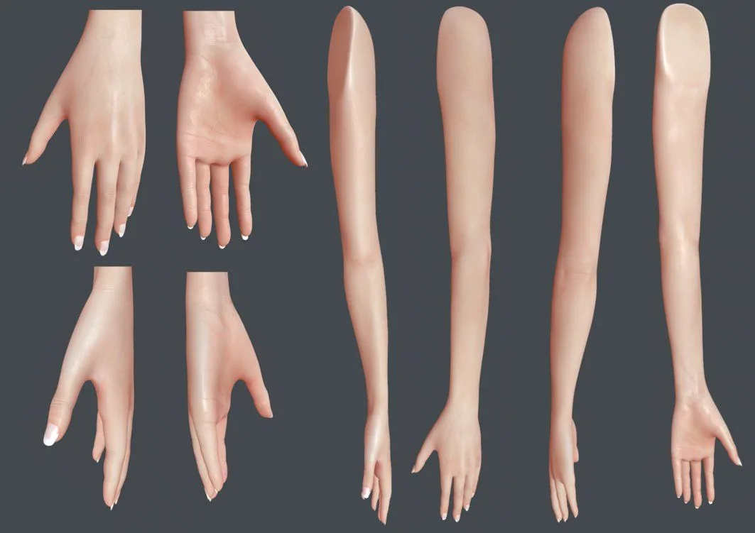 Human Arms