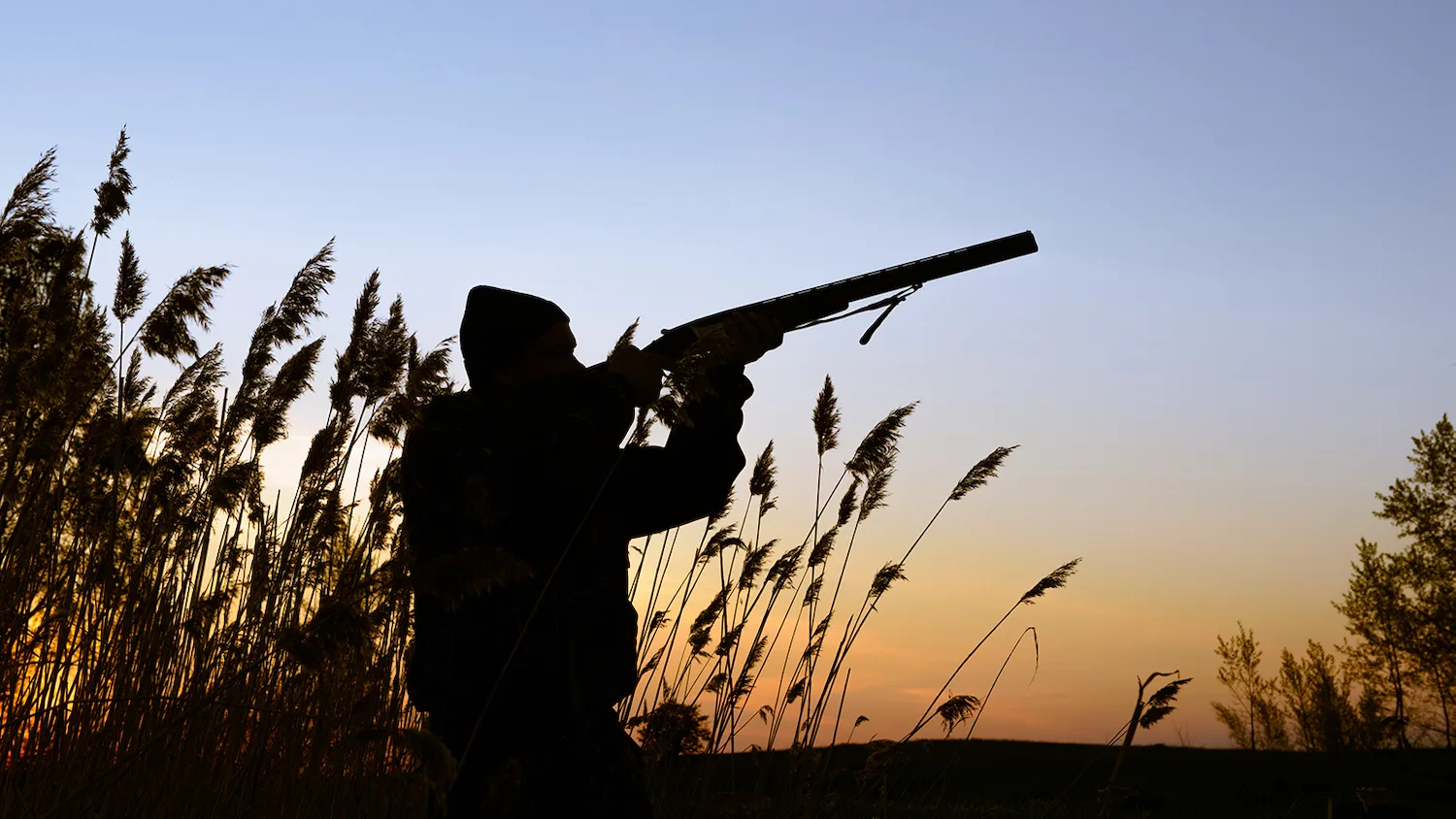 Hunter Definition And Meaning With Pictures Picture Dictionary Books