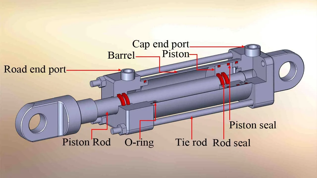 Hydraulic Cylinder Users At Antonio Cole Blog
