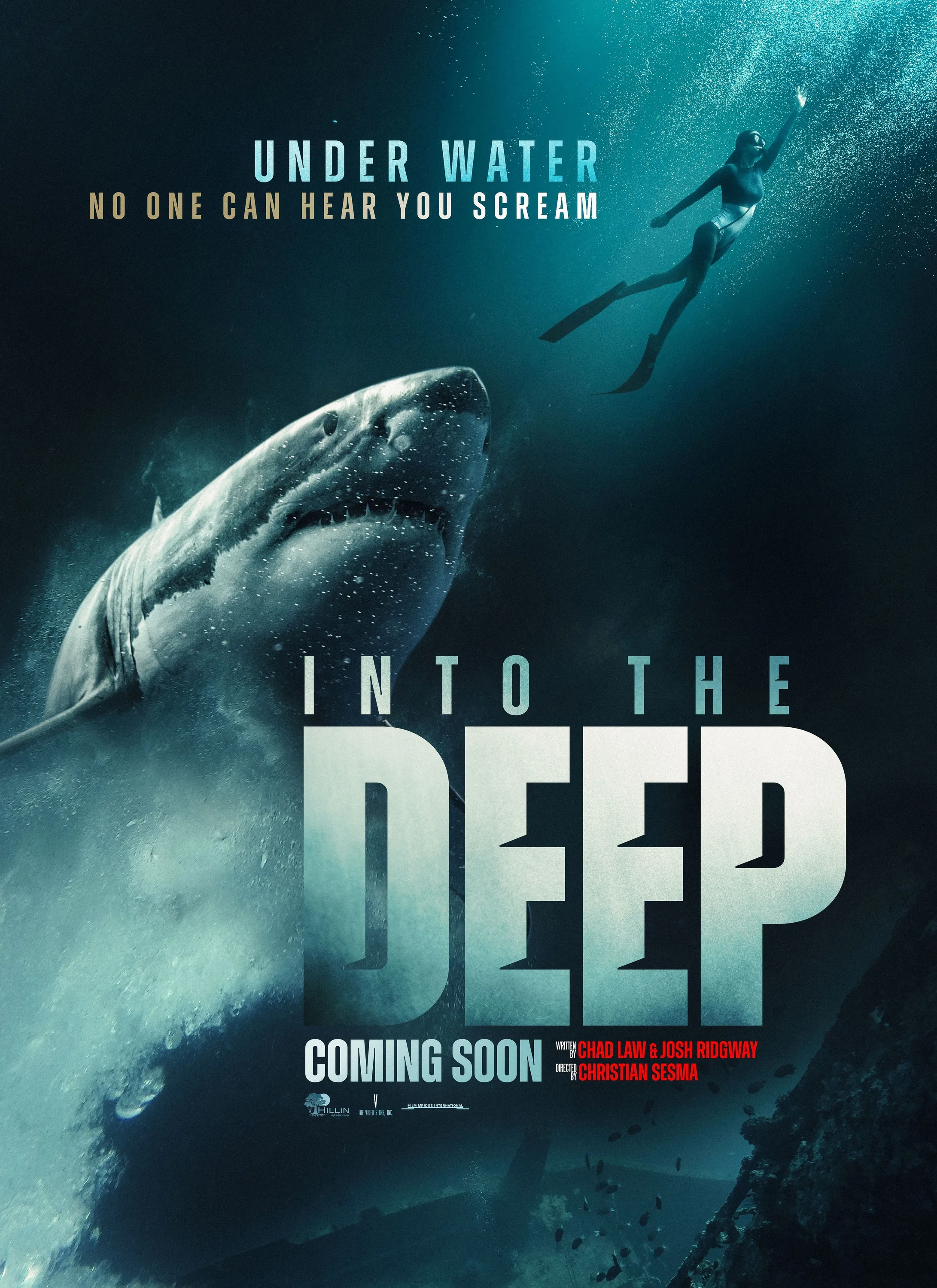 In Too Deep Movie Poster