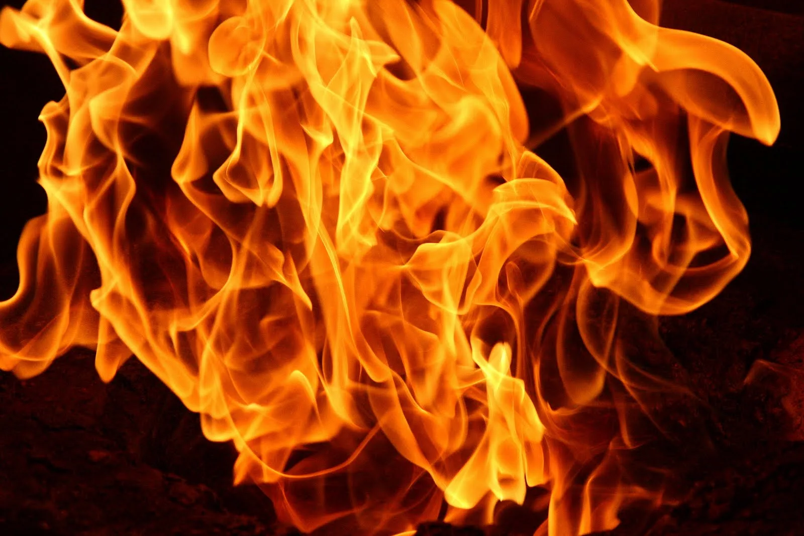 Independence Day Garage Fire In Studio City Canyon News