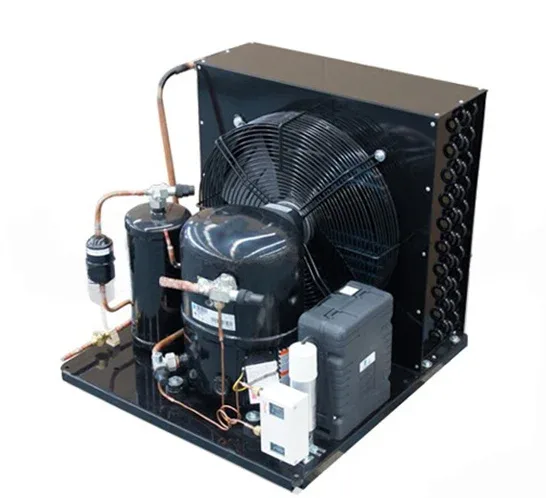 Indoor 2 75 Hp Low Temp R404A 220V 1Ph Condensing Unit Buy 3 Hp Refrigeration Condensing Unit