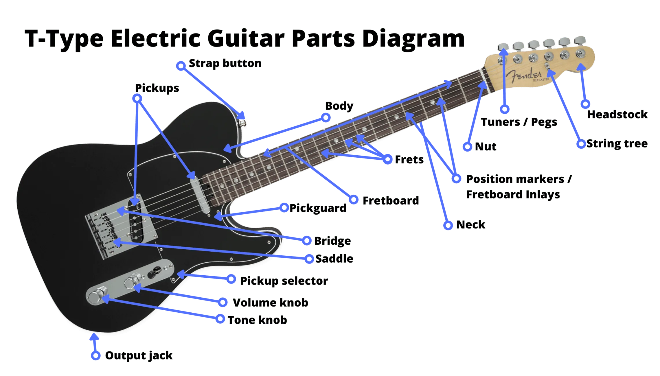 Inside Electric Guitar Diagram Parts Of An Electric Guitar