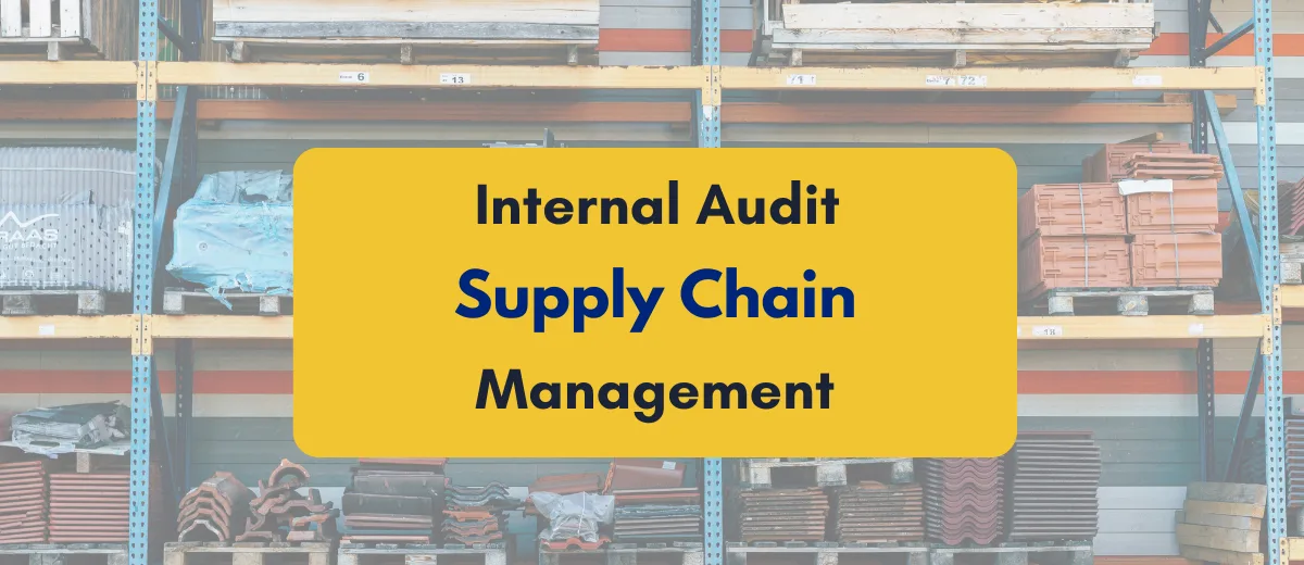 Internal Audit Of Supply Chains Process Checklist More