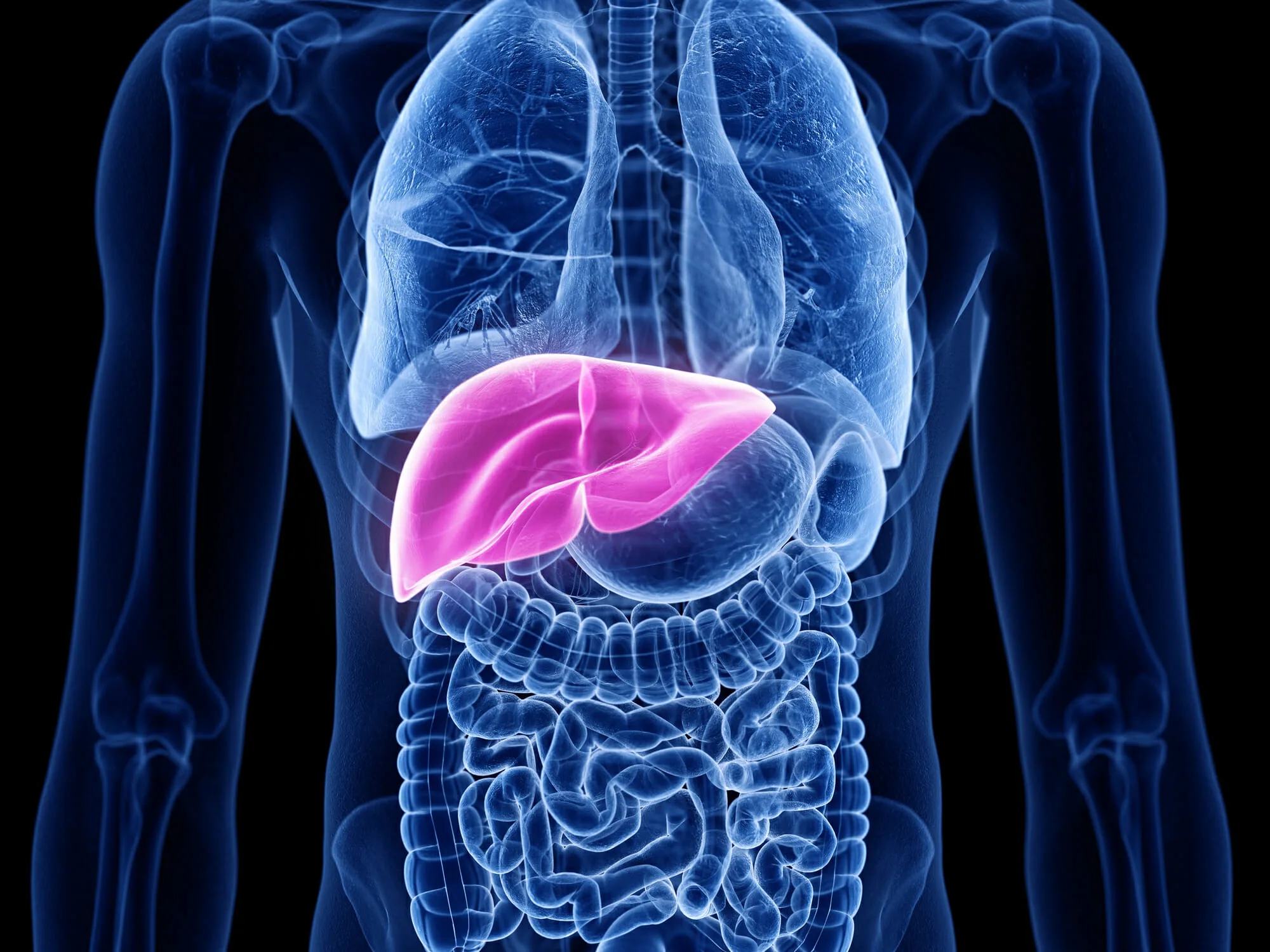 Investigational Treatment Aro Aat Improves Liver Health In Aatd Rare Disease Advisor