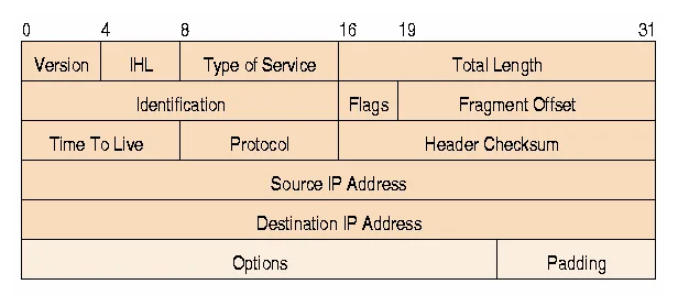 Ip Packet Structure