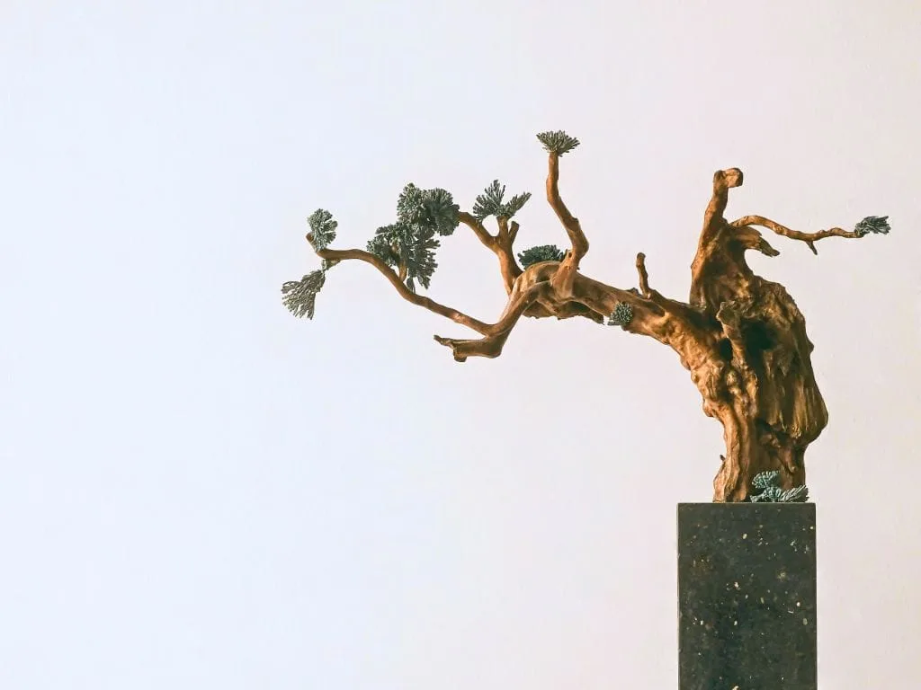 Is Tcm Common In A Spa Near Me Why Traditional Chinese Medicine Is The New Wellness Standard