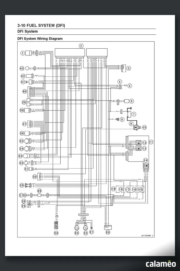 Kawasaki Ninja 250R Fuel System Dfi Wiring Diagram Pdf Manual