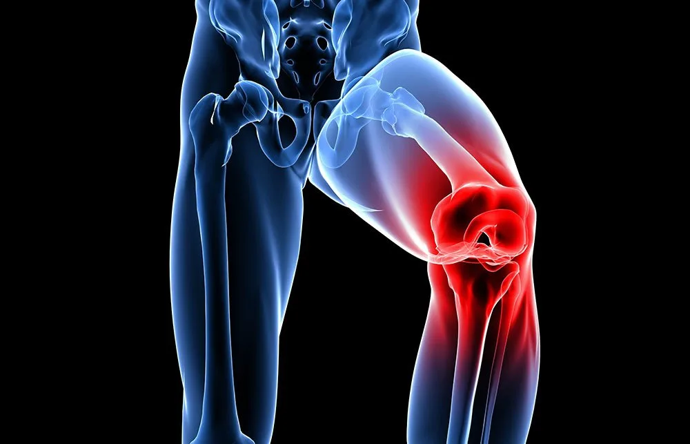 Knee