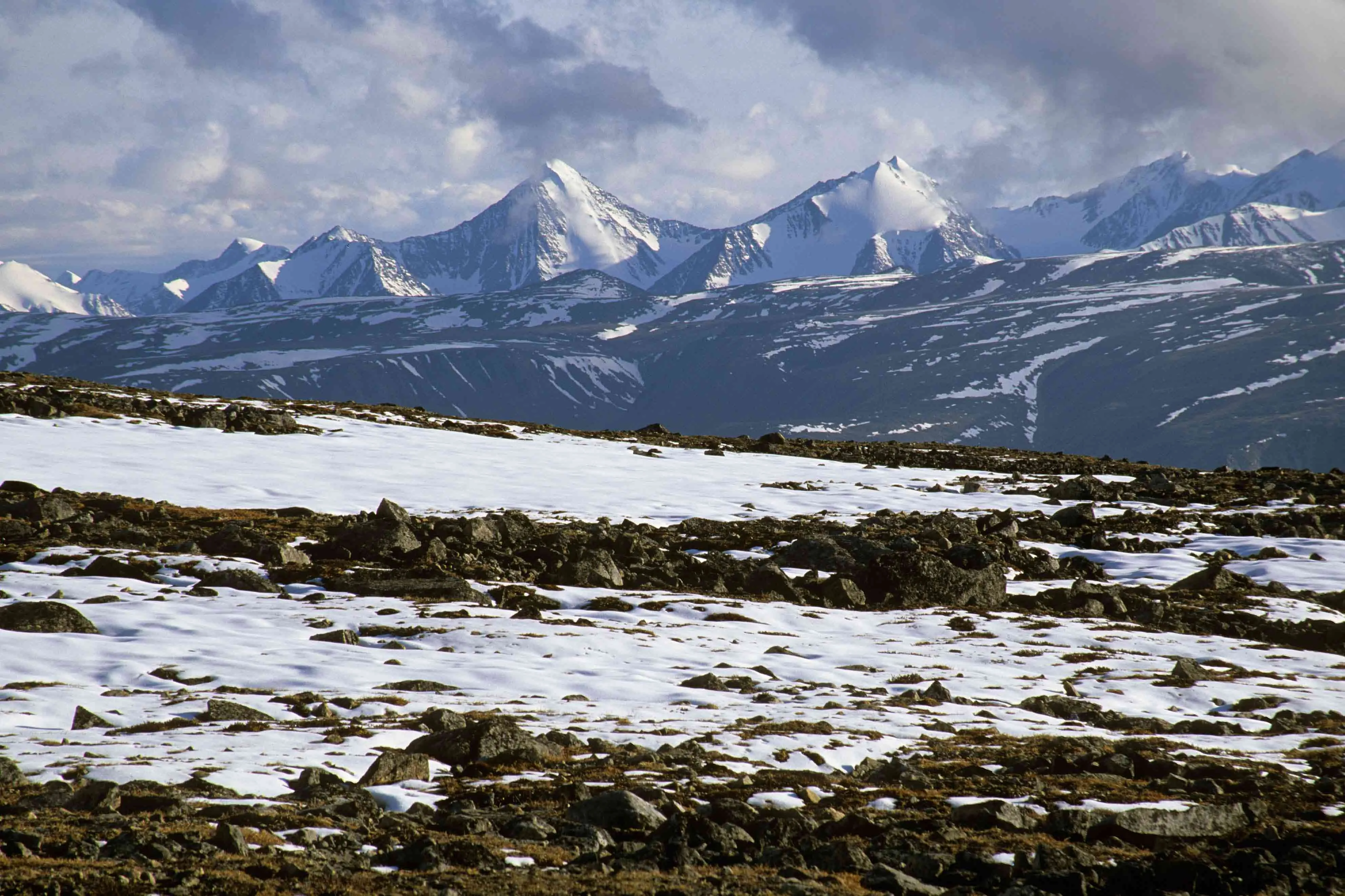 La Tundra Biomas Mundiales