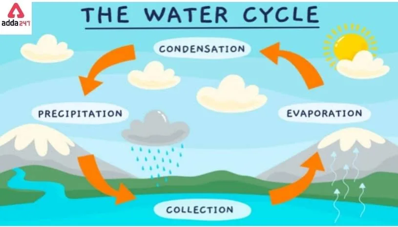 Labeled Water Cycle Diagram Water Cycle Diagram Cycle For K