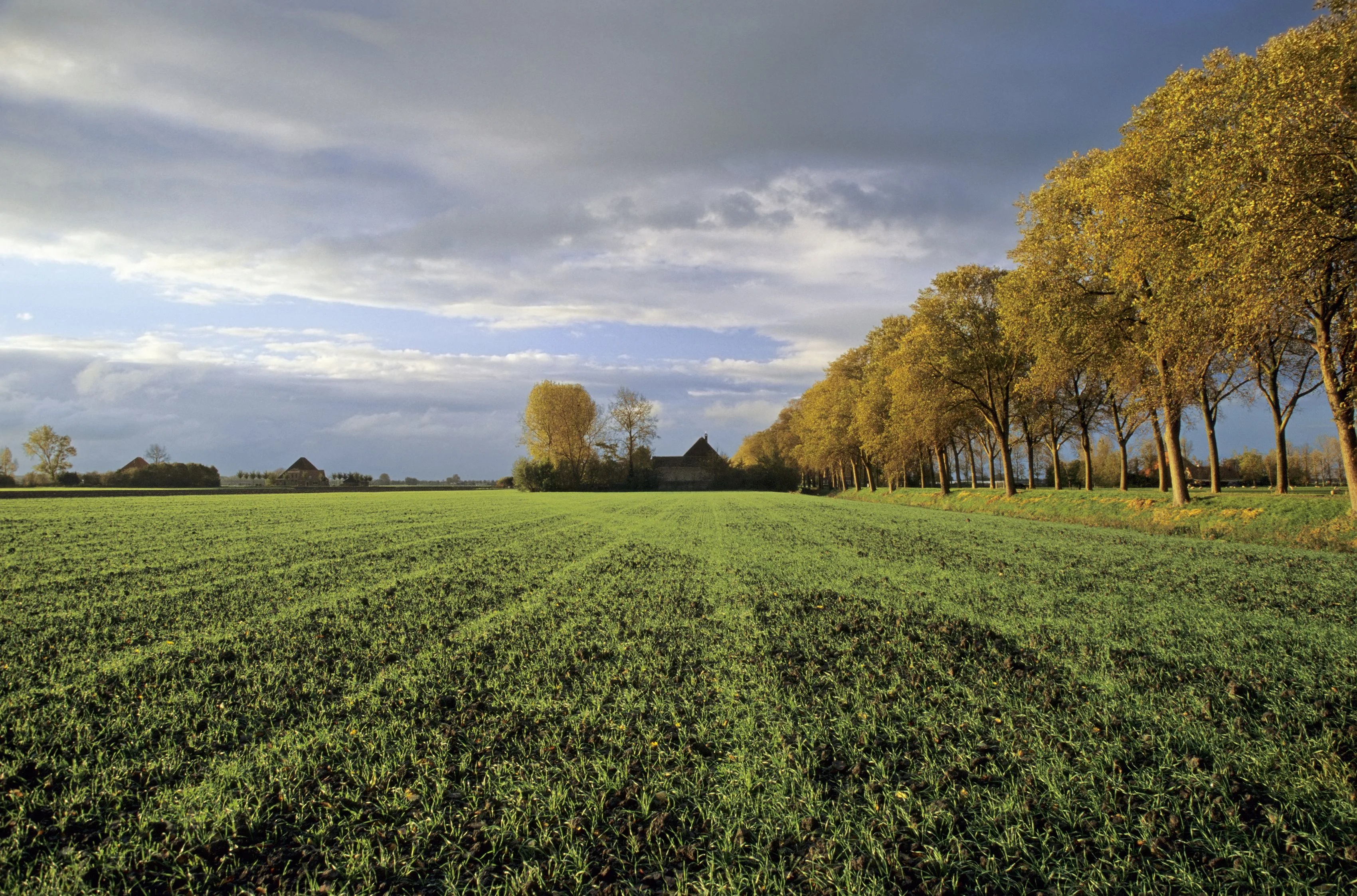 Land Definition