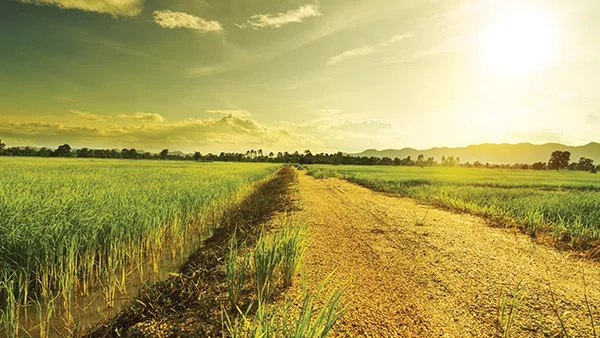 Land The Real Resource Think Realty A Real Estate Of Mind
