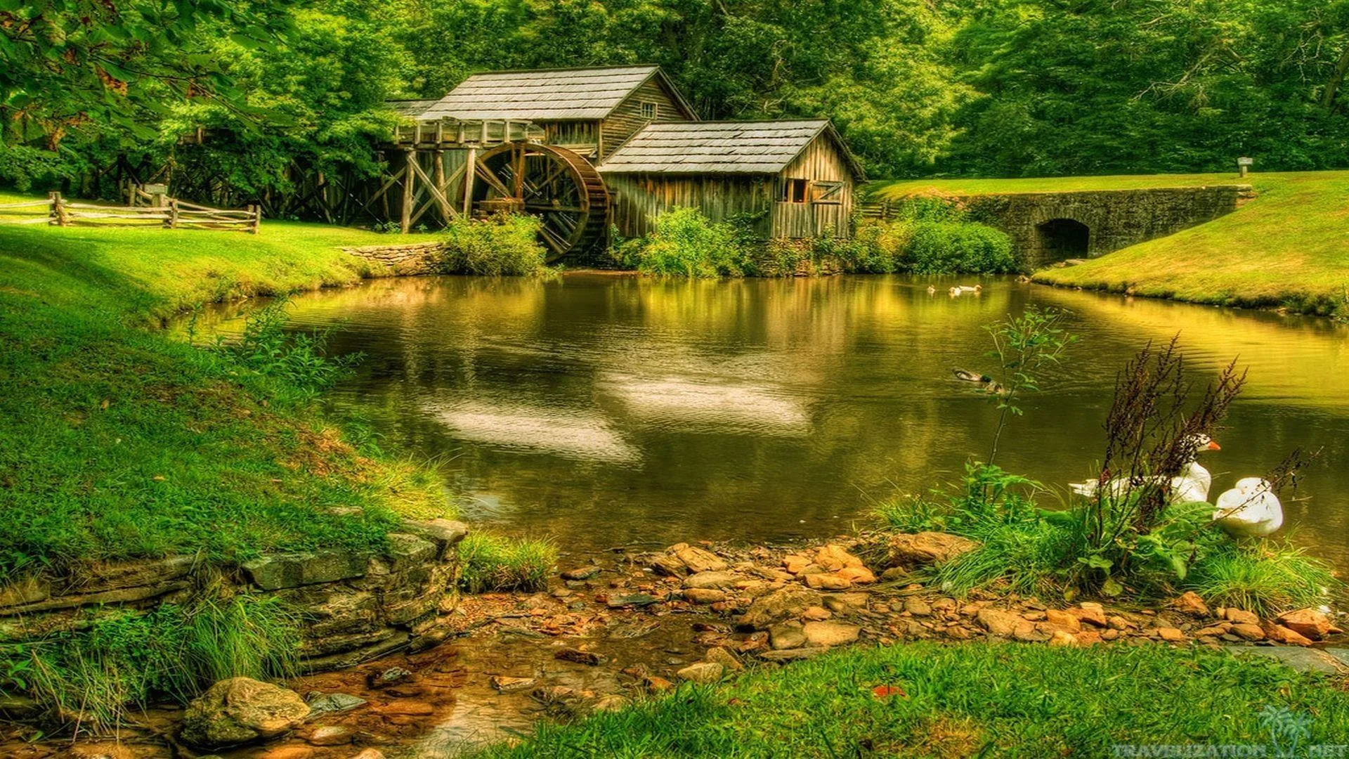 Landscapes Nature Scenario