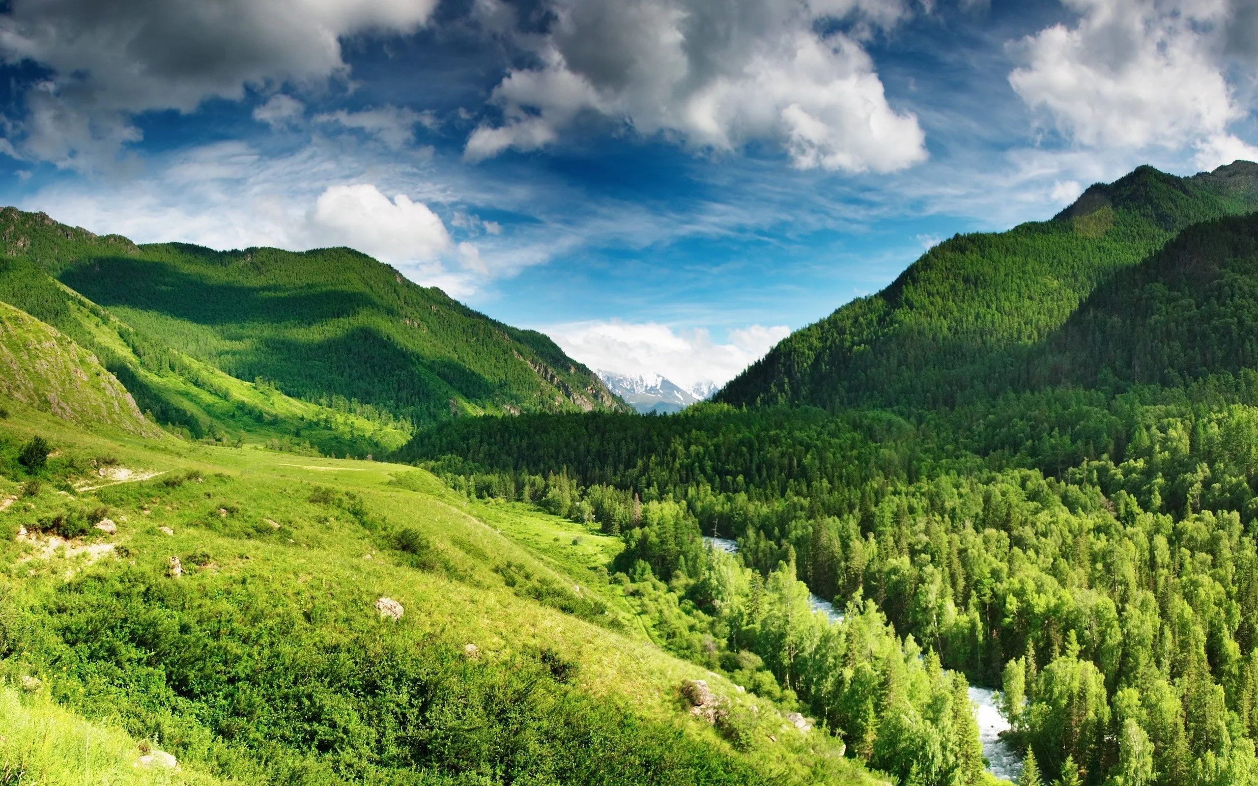 Landscapes Nature Trees Forest Hills Valley Valley Of The Wind Wallpapers Hd Desktop