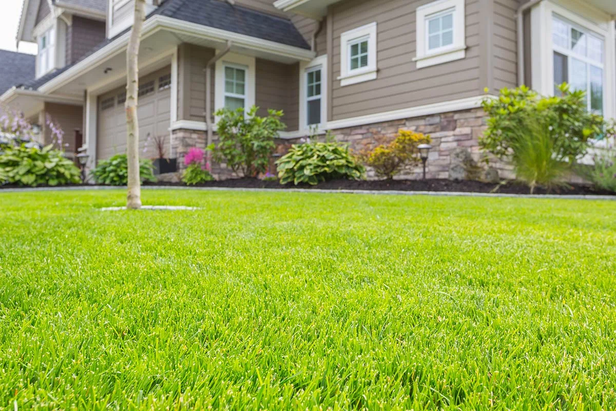 Lawn Care Blog Lawn Care Tips Tricks Top Lawn