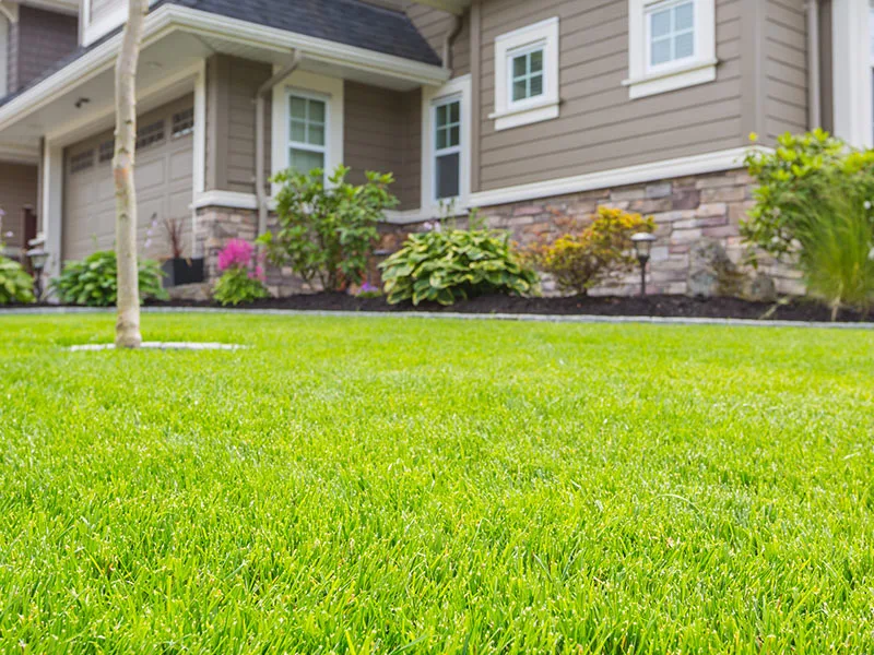 Lawn Care Lawncare By Walter Inc