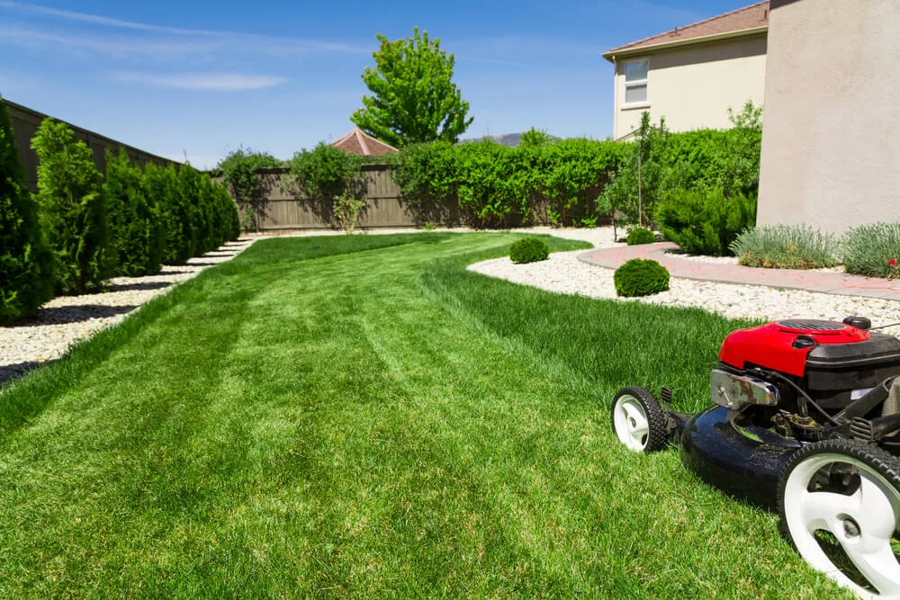 Lawn Care Services And Saving Tips Golr