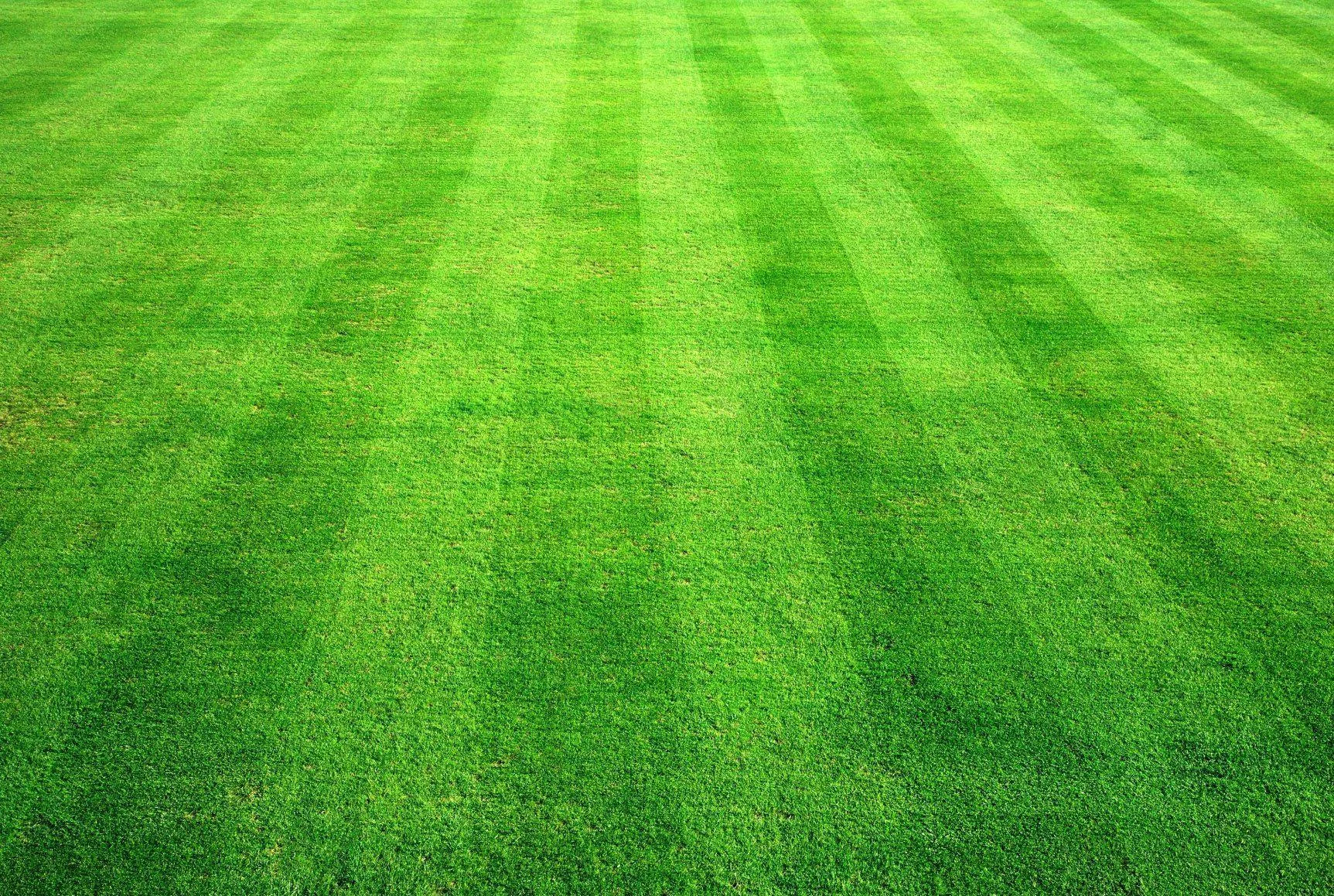 Lawn Wallpapers Top Free Lawn Backgrounds Wallpaperaccess