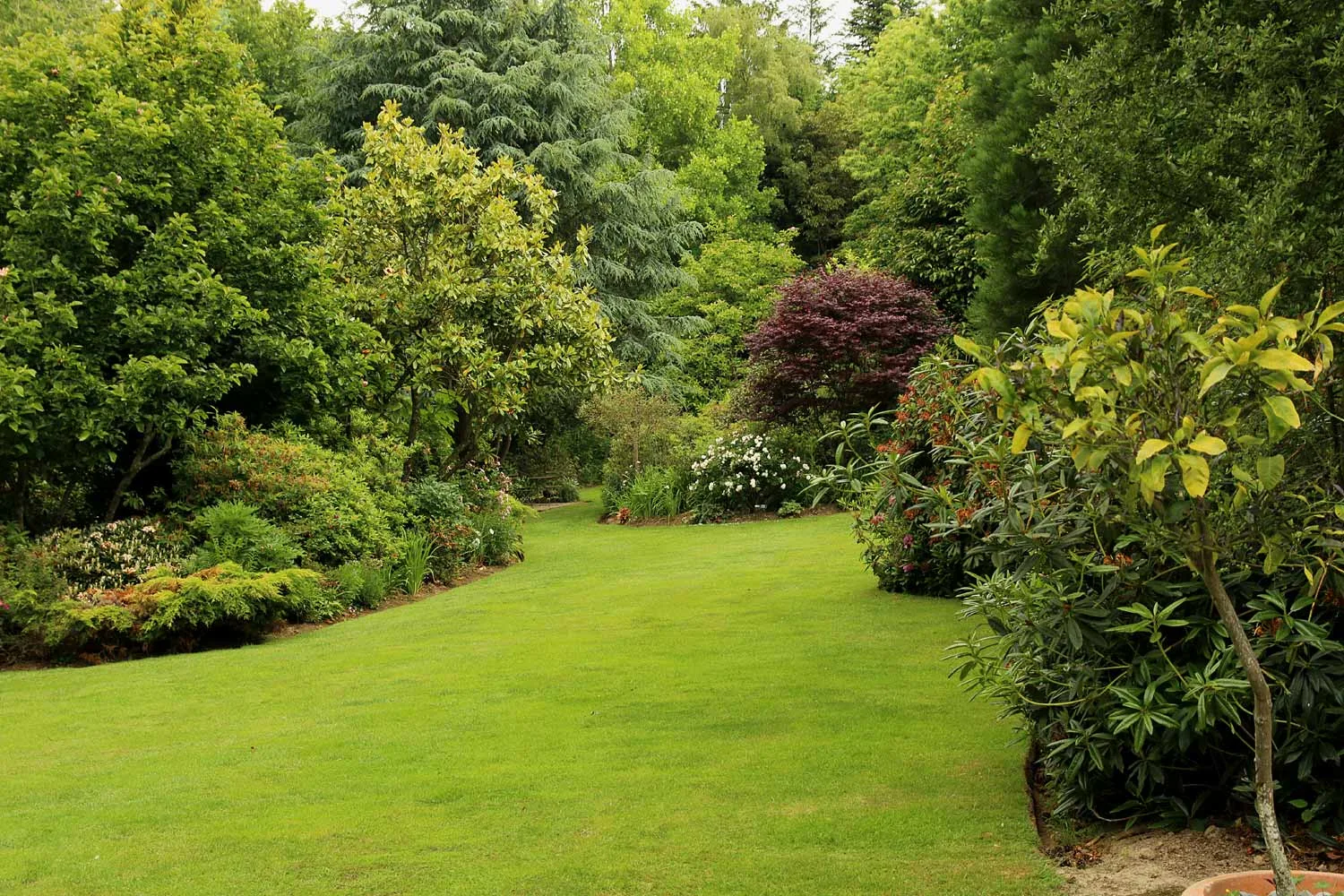 Le Jardin De La Péfolière Près De Combourg 35 Arrosoirs Et Sécateurs
