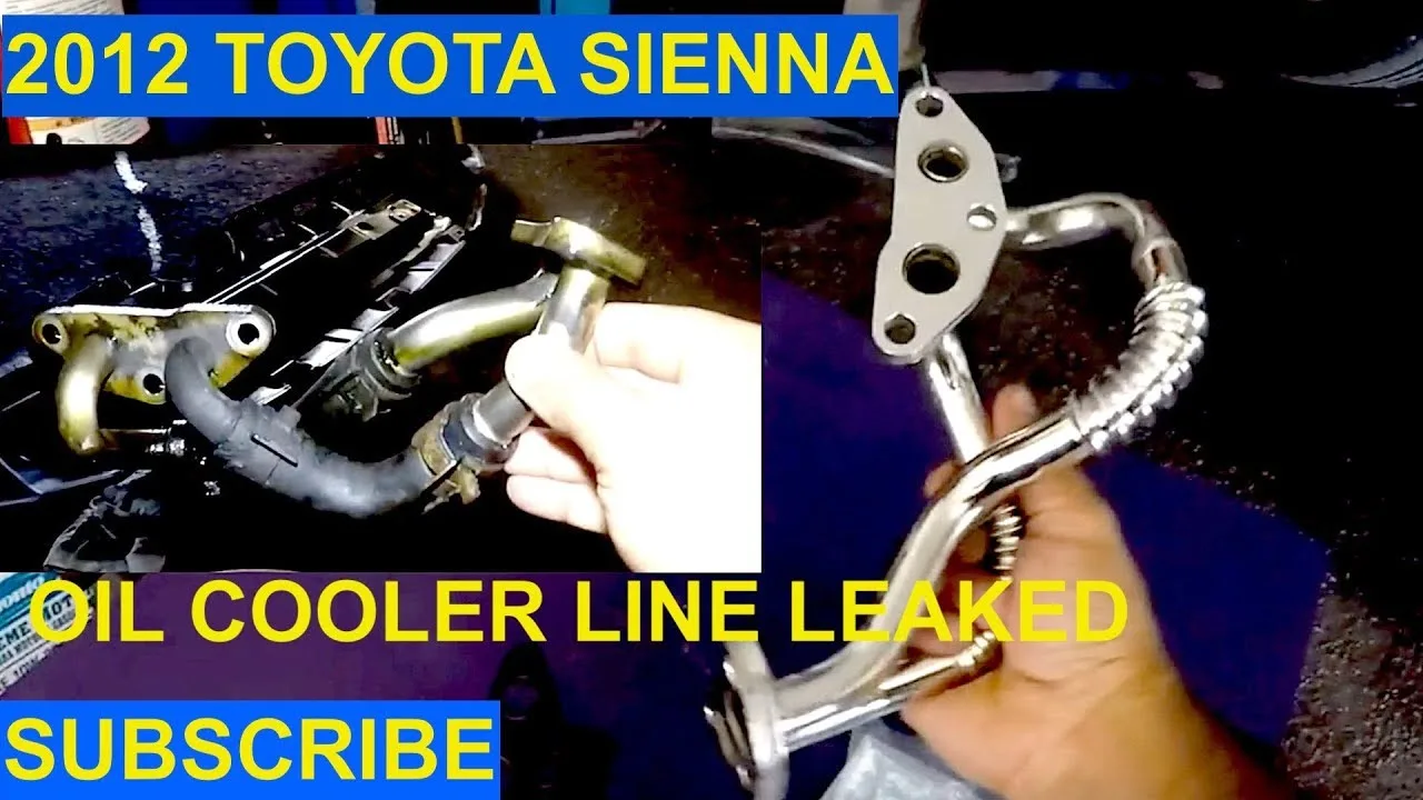 Leaking Engine Oil Cooler At Gwendolyn Samuels Blog