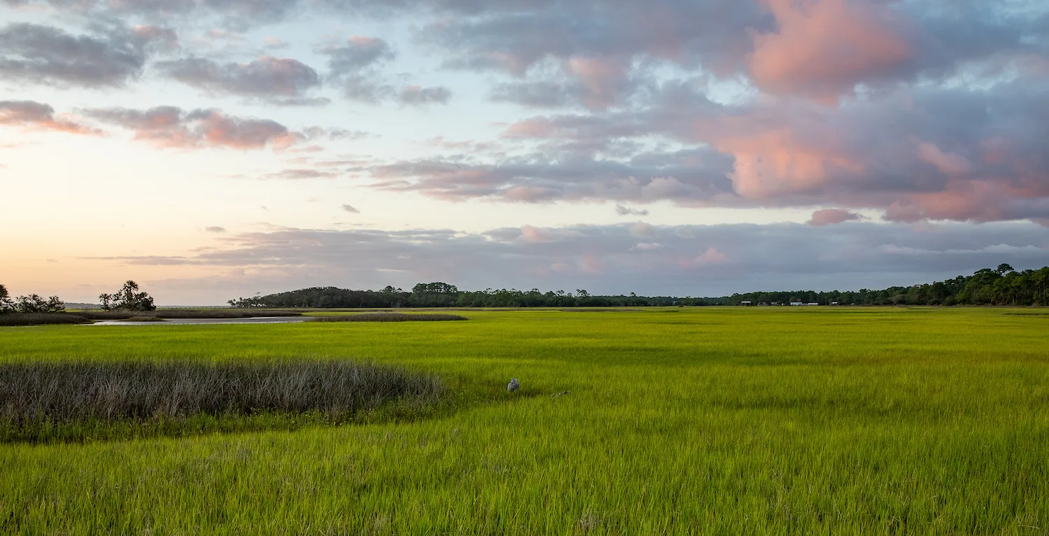 Learn More About Land Development With Ann Milton Realty