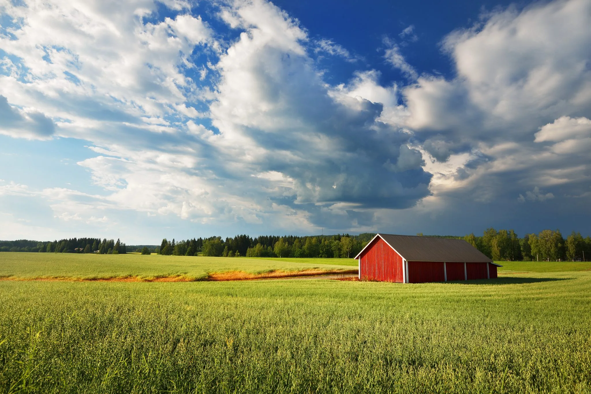 Learn The Components For Valuing Your Land Usa Land Liquidators
