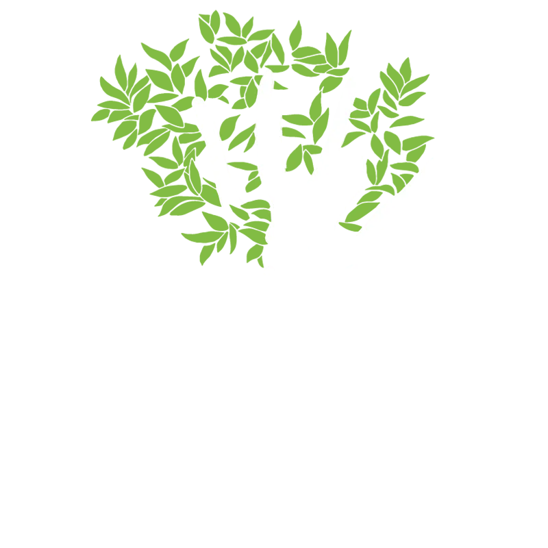 Les Végétaux 1982 Pépinière