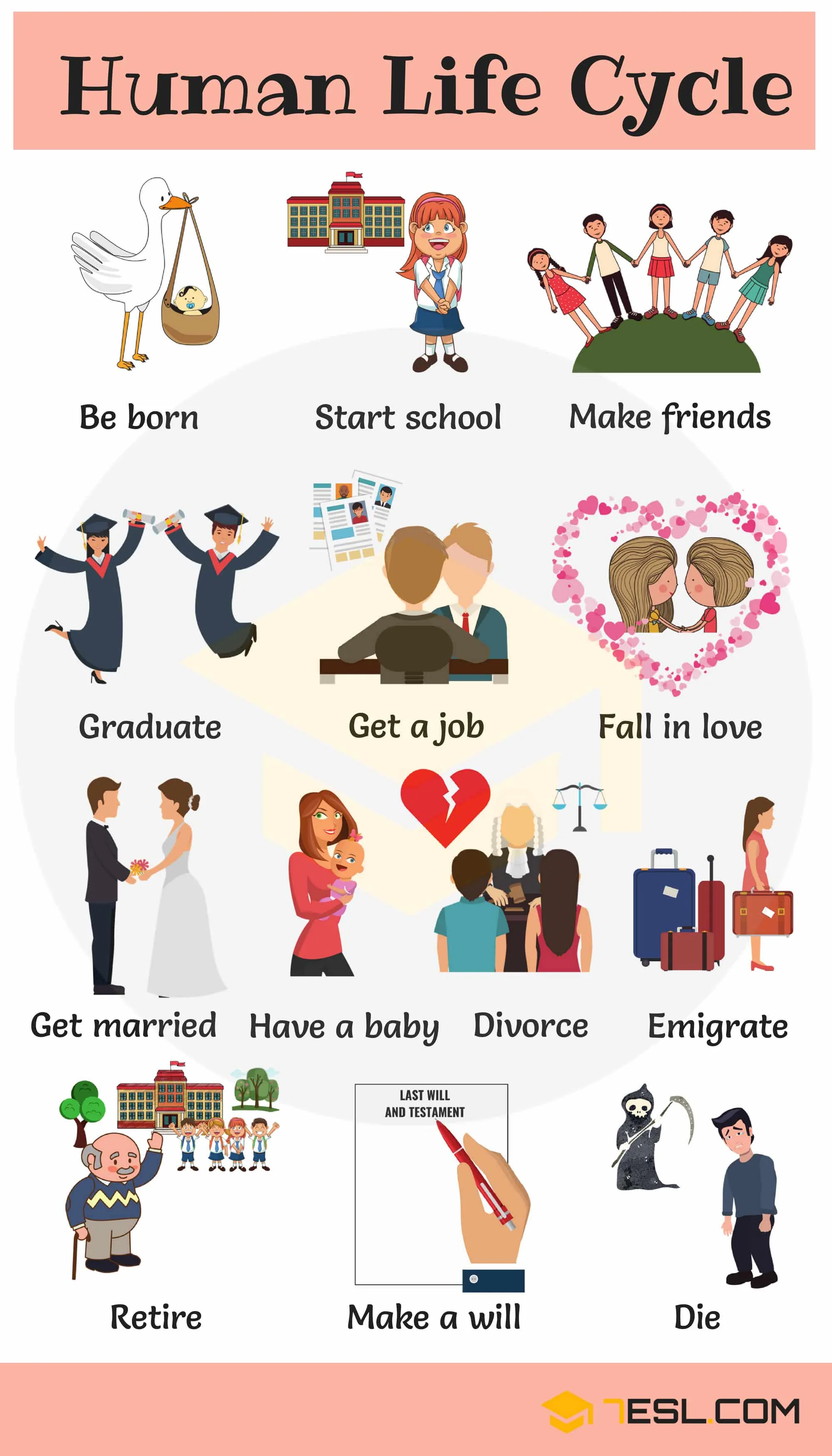 Life Cycle Dictionary