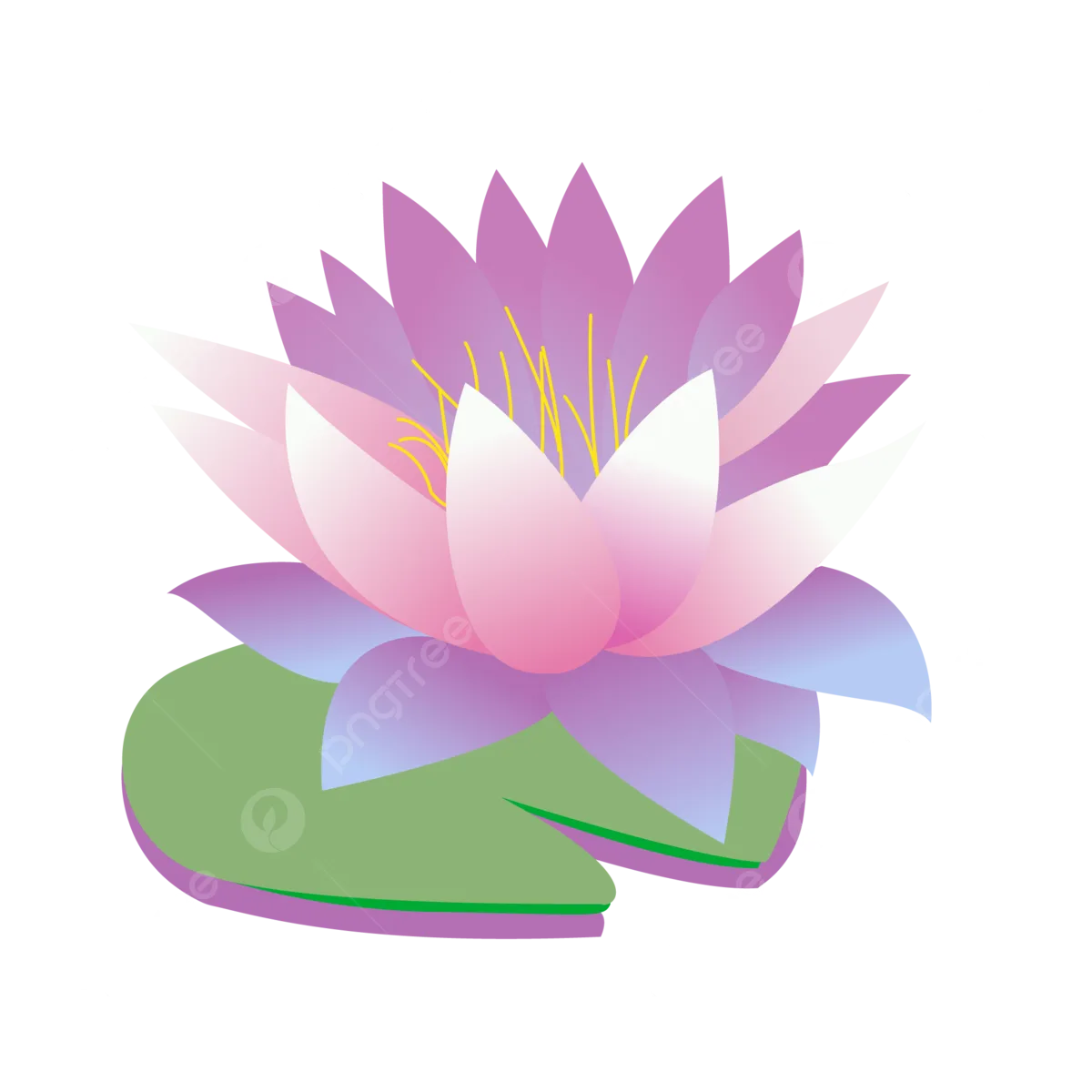 Lily Pad Flower Cartoon