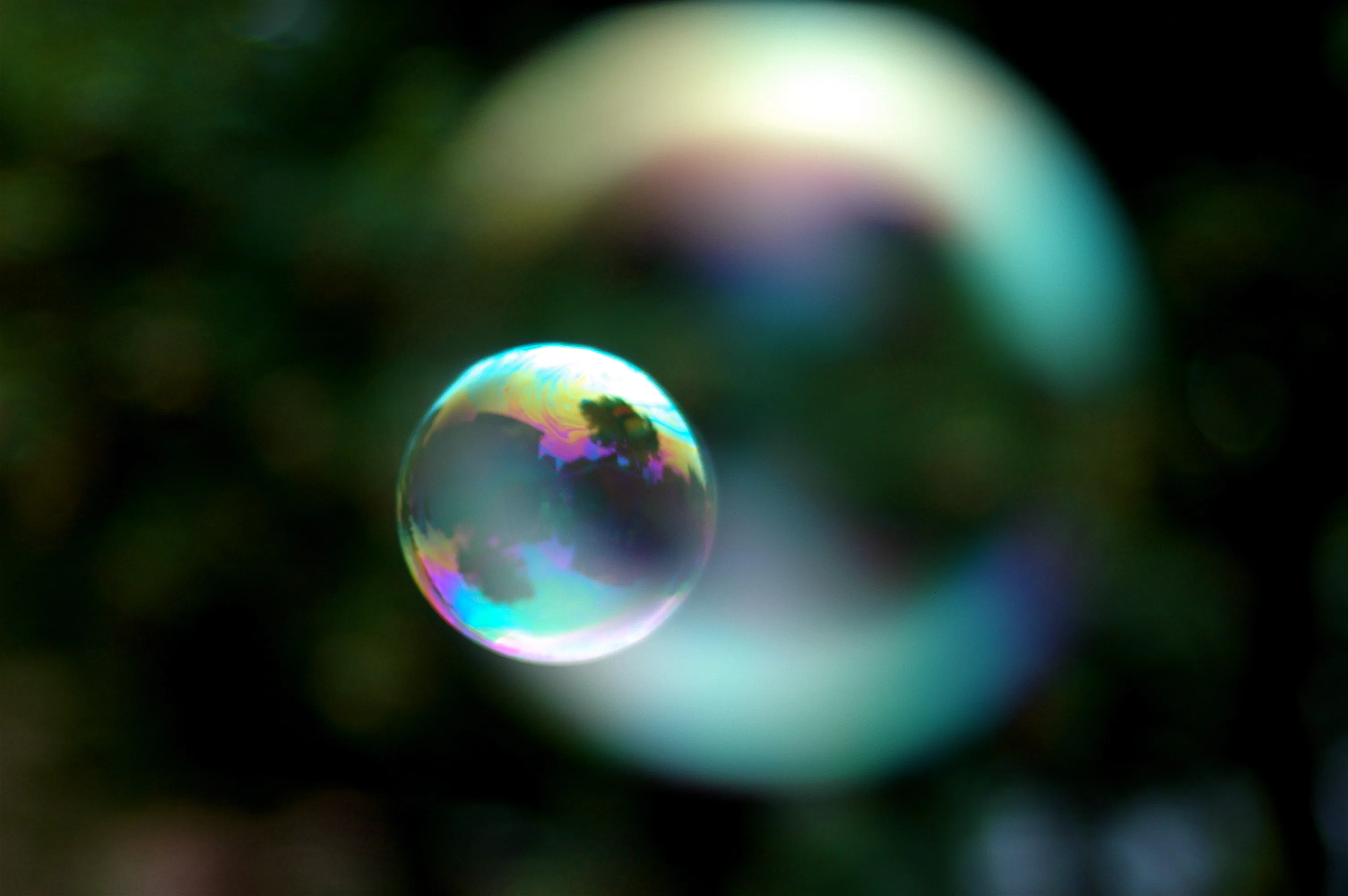 Living In A Bubble
