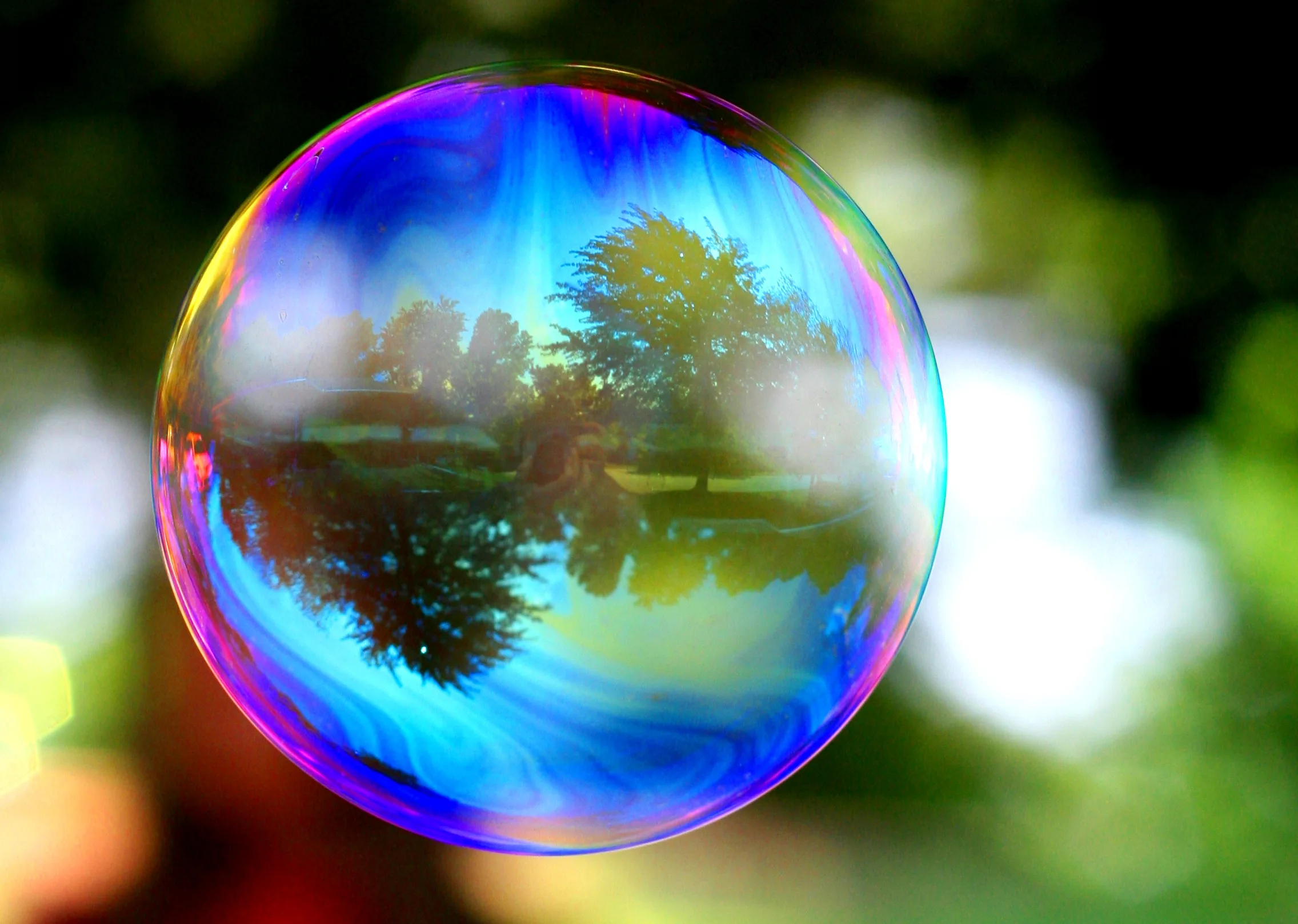 Living In A Bubblecreating Animal Awareness
