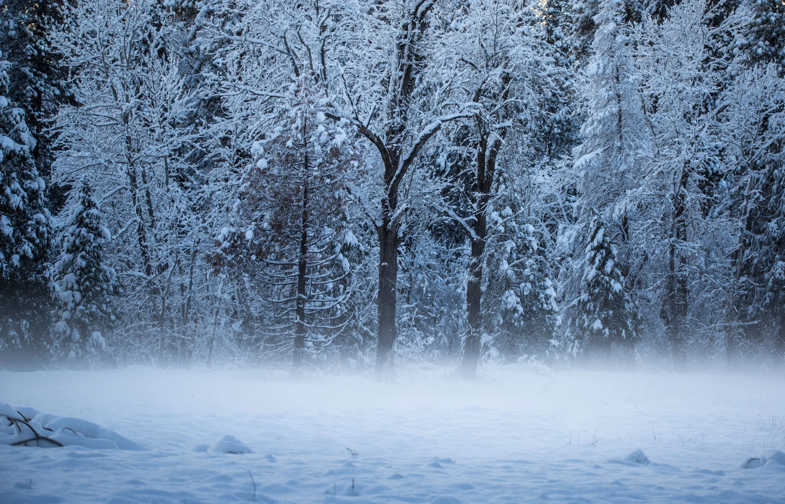 Los Angeles Facing First Ever Blizzard Warning Newsweek