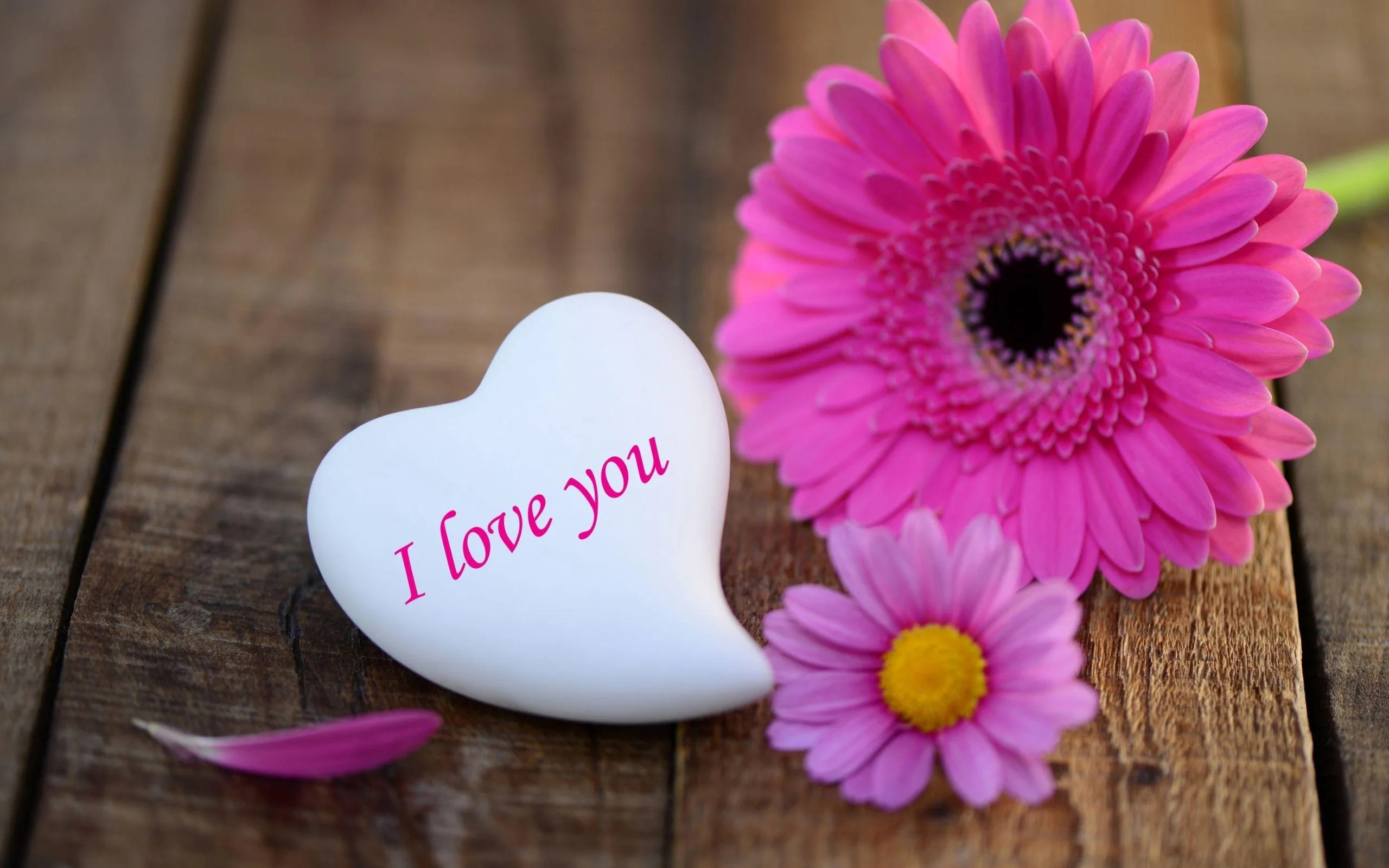 Love You Jaan Wallpapers Wallpaper Cave