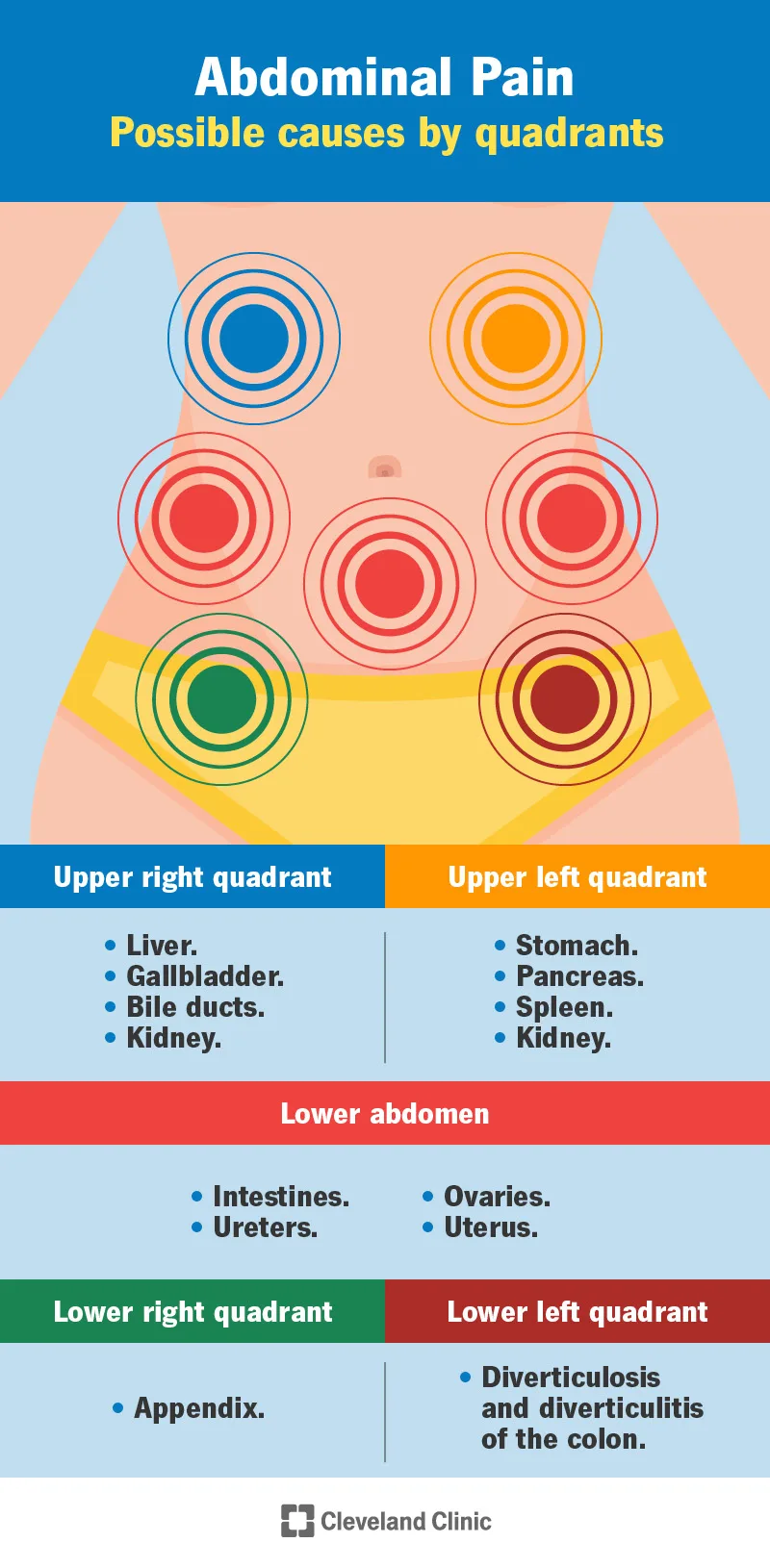 Lower Left And Right Abdominal Pain Causes And Treatment