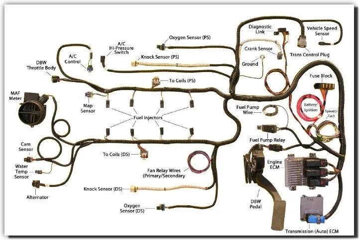 Ls Engine Wiring Harness Conversion Kits
