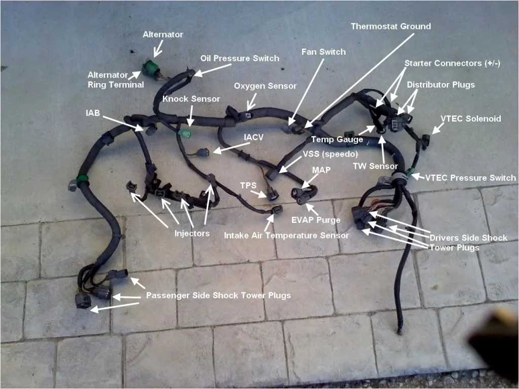 Ls Engine Wiring Harness Diagram