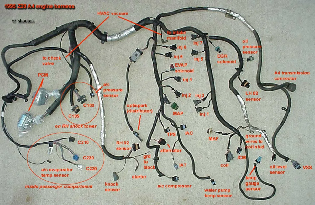 Ls Swap Wiring Harness Labeled