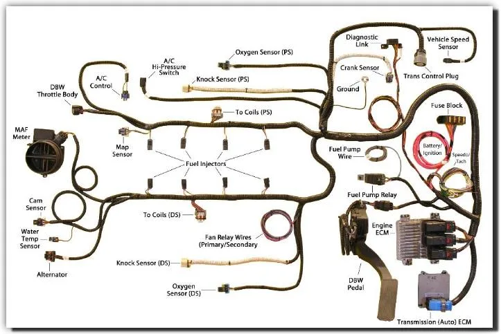 Make Stand Alone Wiring Harness For Ls Engine