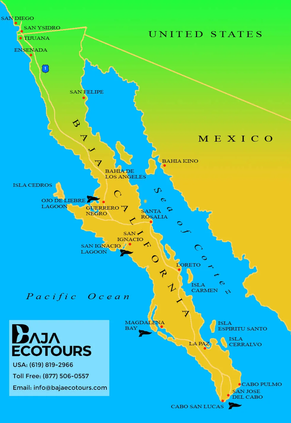 Map Of The Baja California Dianna Mehetabel