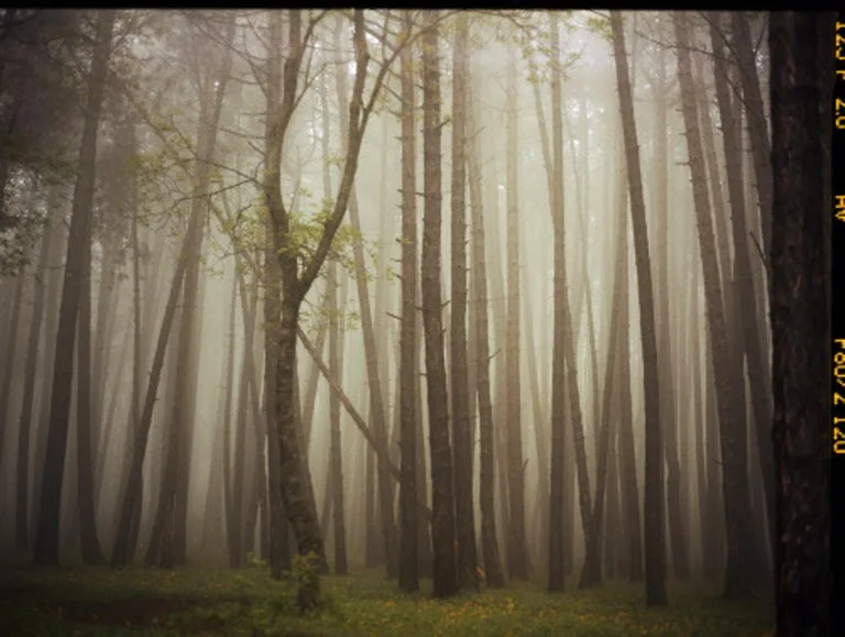 Mariam Sitchinava Upslope Fog In May For Sale At 1Stdibs