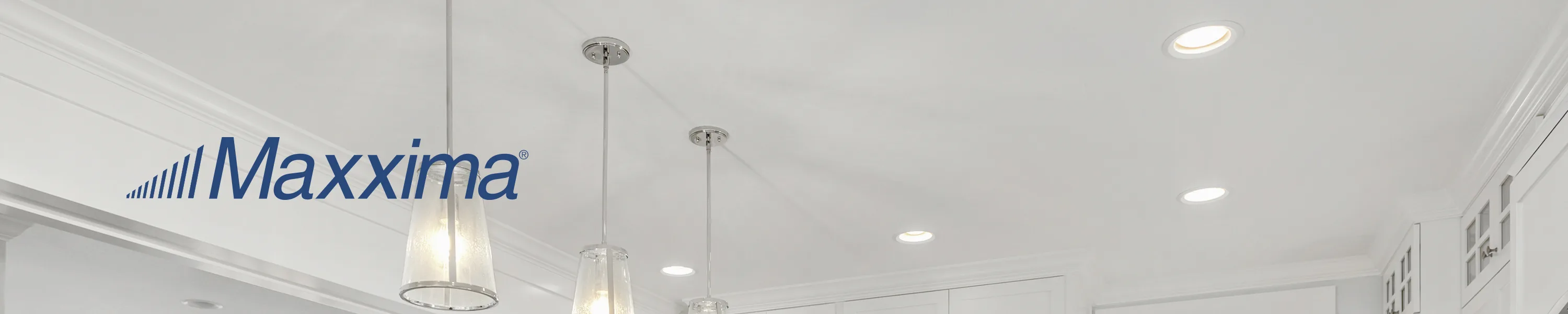 Maxxima Led Lighting Led Br Par