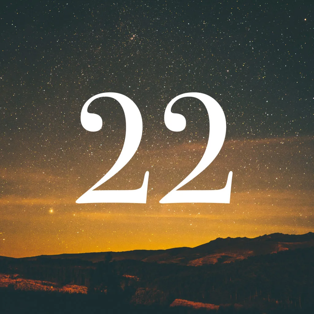 Meaning Of Number 22 The Medicine Owl