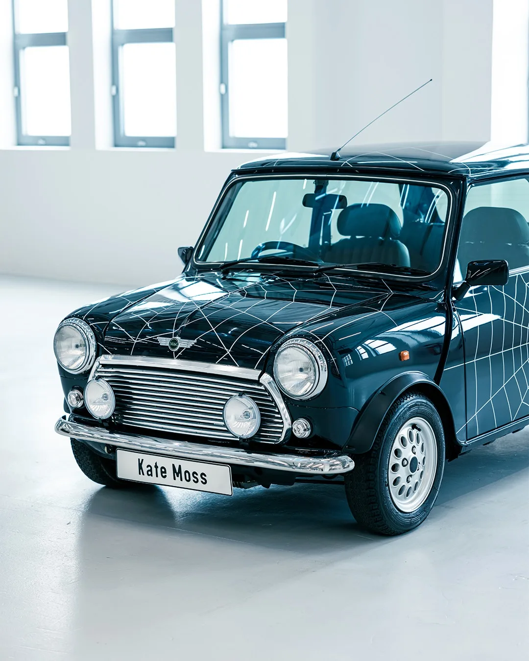 Mini Mini Twitter