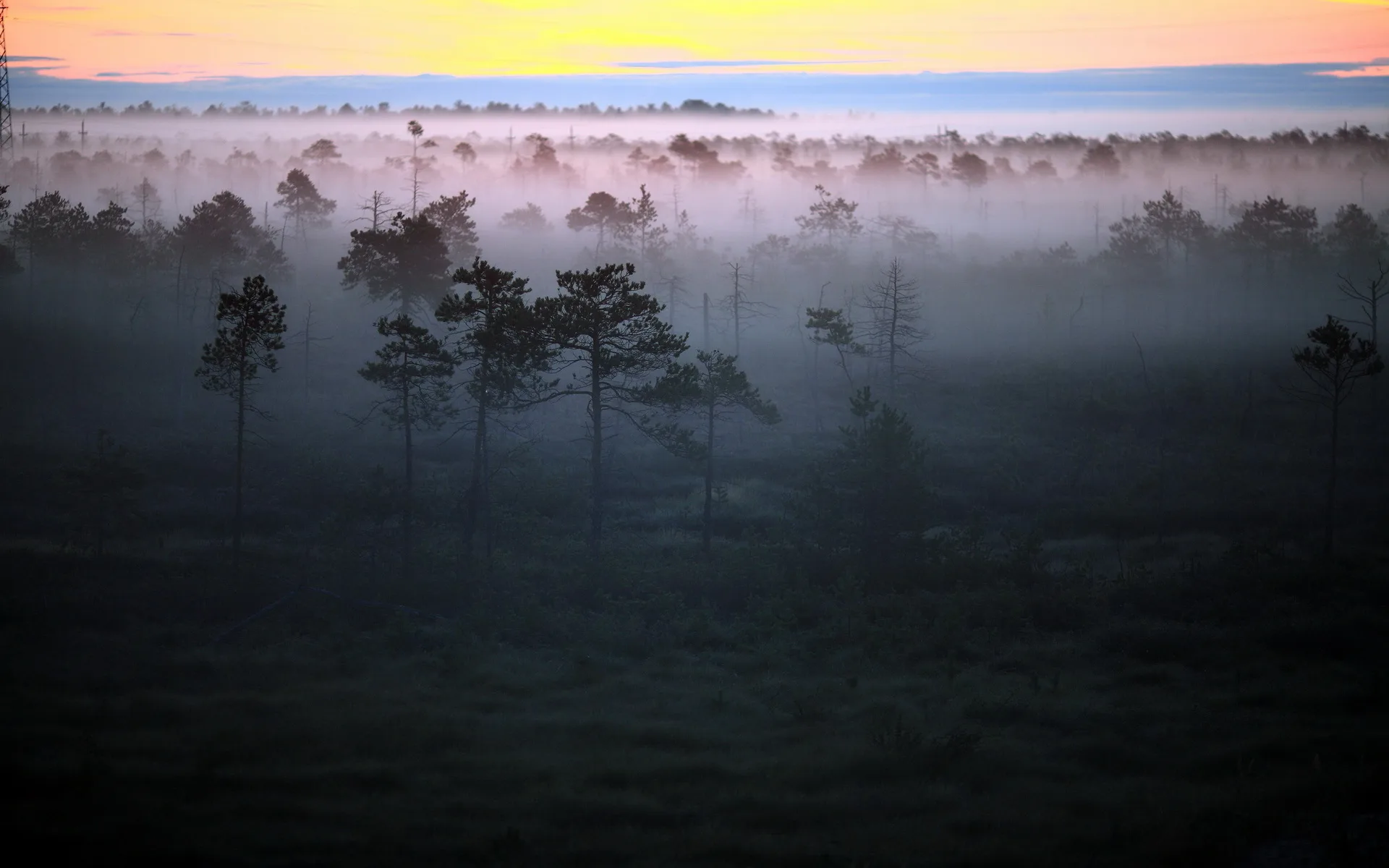 Misty Wilderness Hd Wallpaper