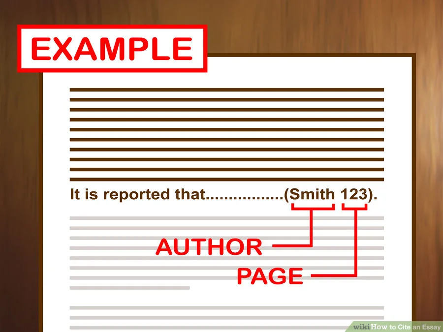 Mla In Text Citations Eng 206 Introduction To Literature