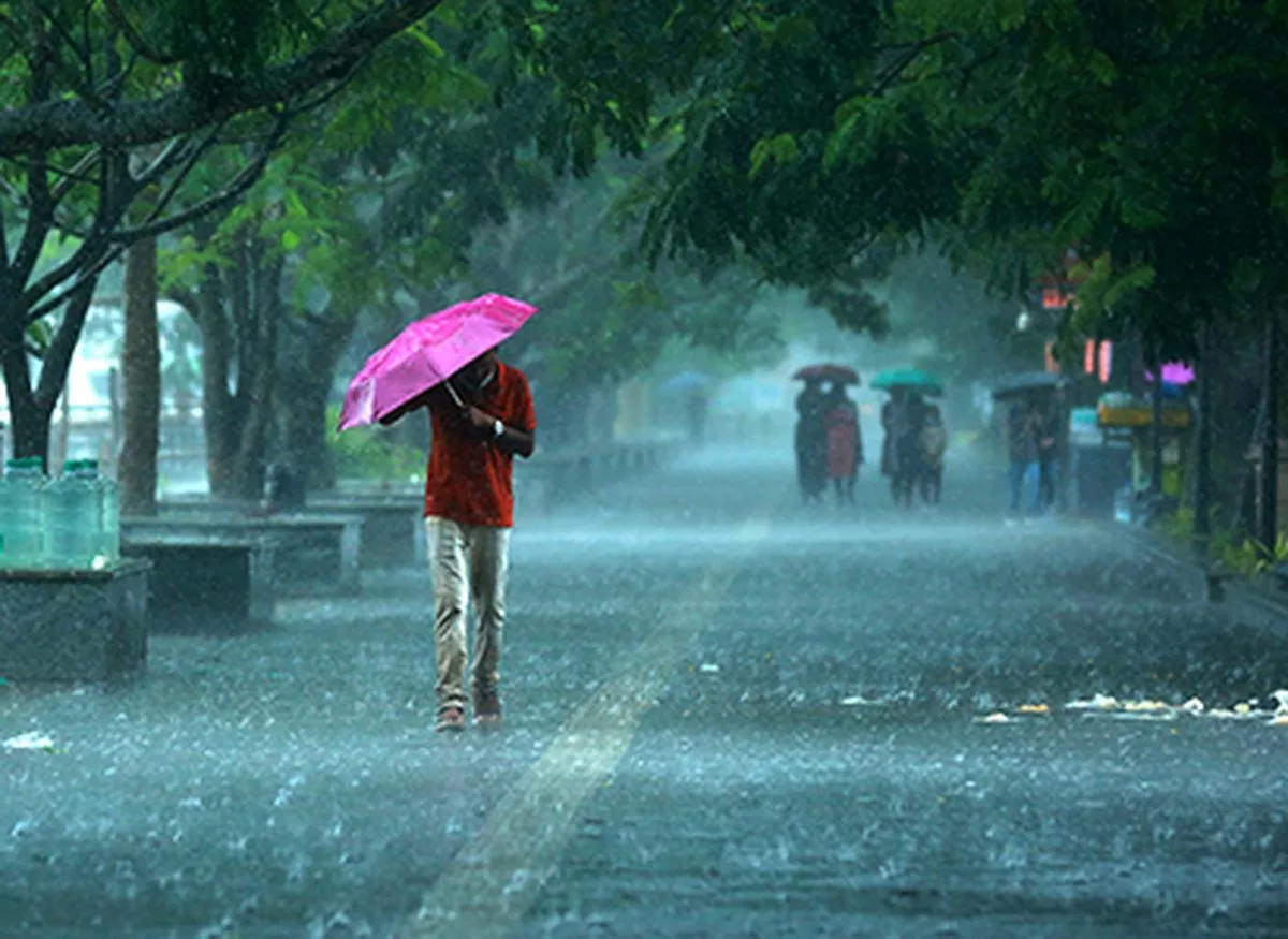Monsoon Arrives Three Days Ahead Of Normal Onset In Kerala The Hindu