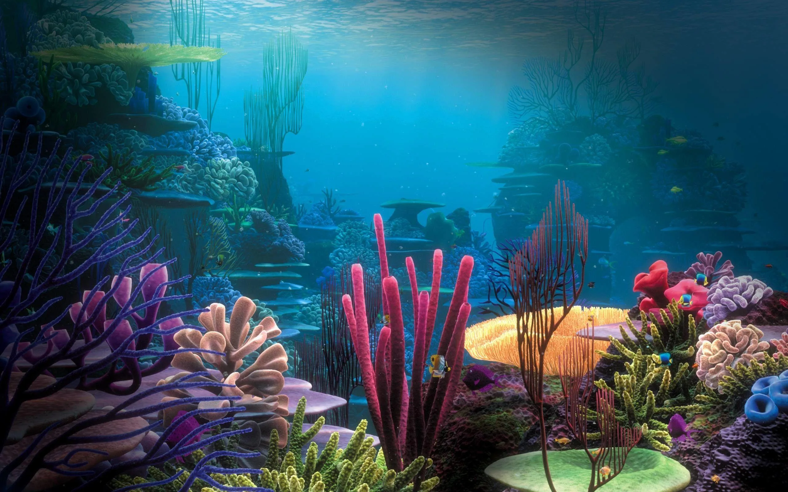 Moving Underwater Wallpapers Top Free Moving Underwater Backgrounds Wallpaperaccess