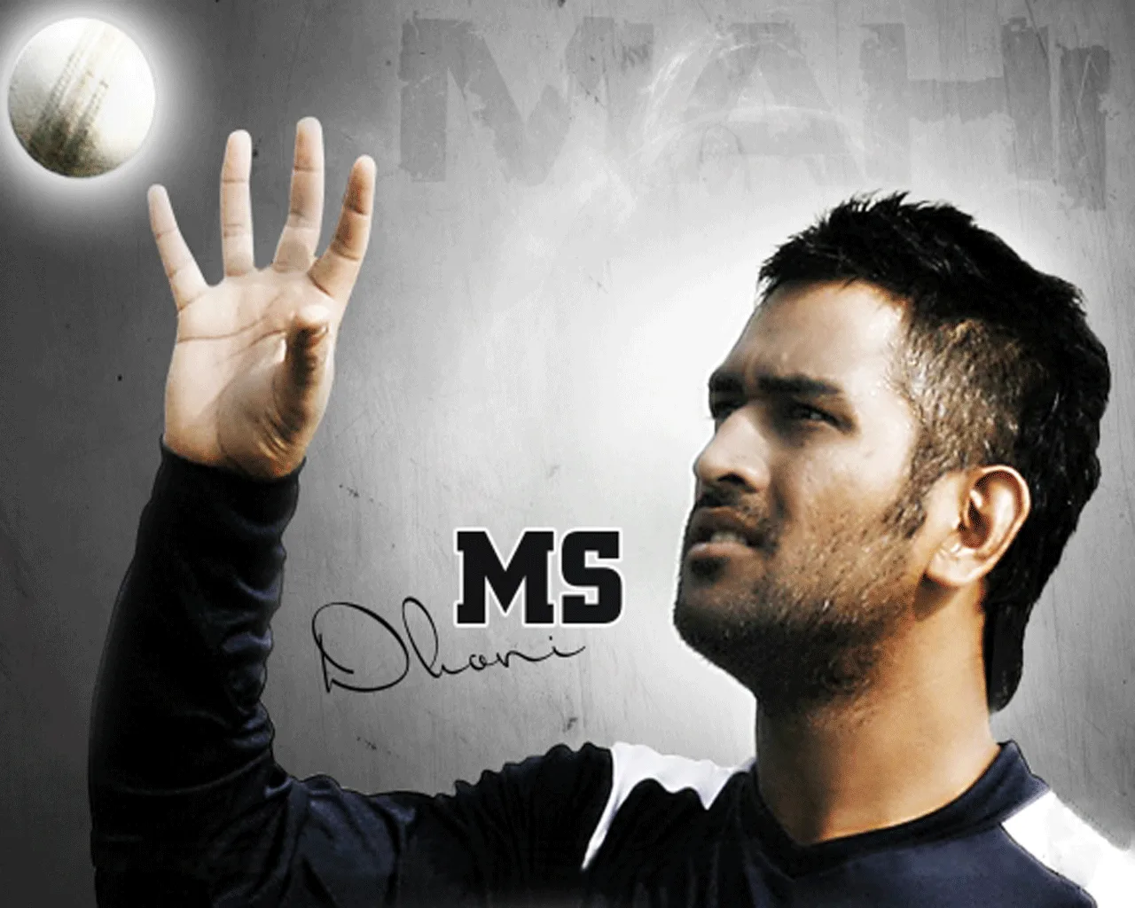 Msd Wallpapers Wallpaper Cave