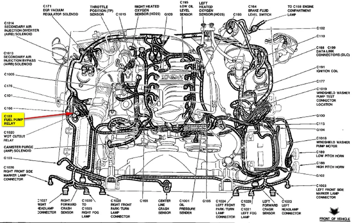 Mustang Fuel System Diagram